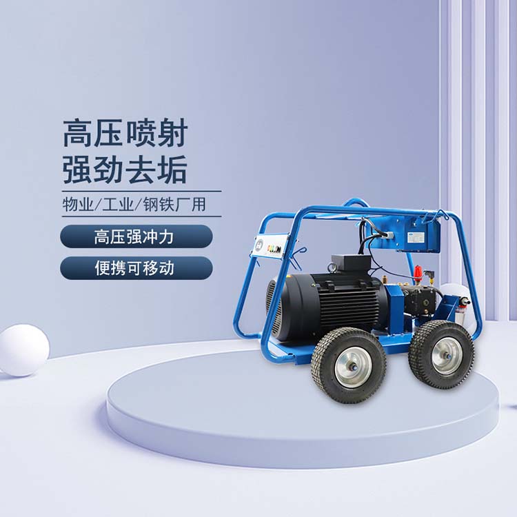 定制小型高压水枪清洗机